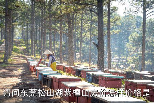 東莞松山湖房價，松山湖房價漲了多少