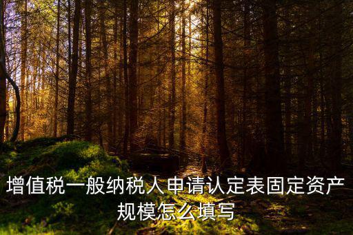 一般納稅人認定表，增值稅一般納稅人認定表是什么東西我公司只有增值稅一般納稅人資