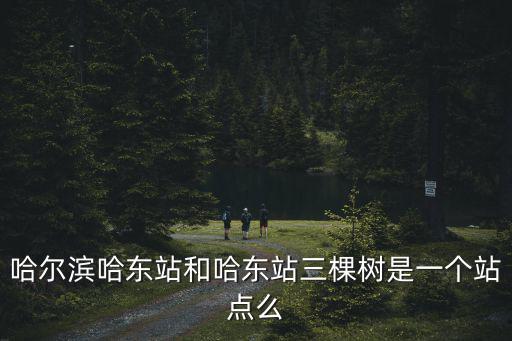 哈爾濱哈東站和哈東站三棵樹是一個站點(diǎn)么