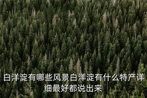 白洋淀有哪些風景白洋淀有什么特產詳細最好都說出來