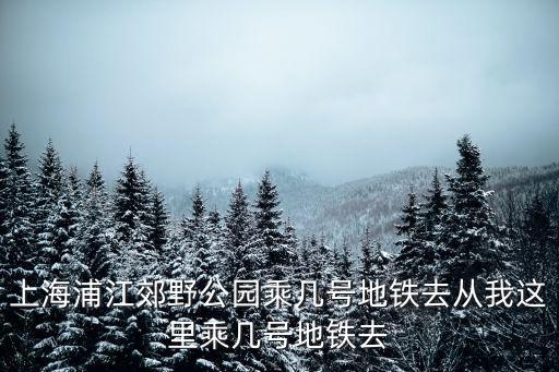 上海浦江郊野公園乘幾號地鐵去從我這里乘幾號地鐵去