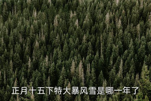 特大暴雪，濟寧市下了特大暴雪昨天和今天都沒讓上學可是現在又下起雪來