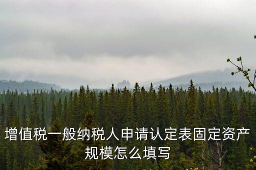 增值稅一般納稅人申請認定表固定資產規模怎么填寫