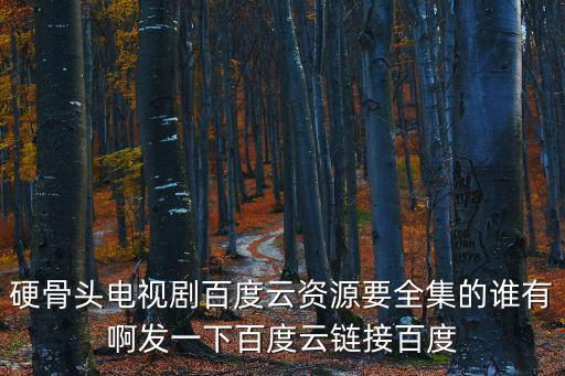 硬骨頭電視劇百度云資源要全集的誰有啊發(fā)一下百度云鏈接百度