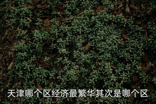 天津區排名，天津各區經濟排名