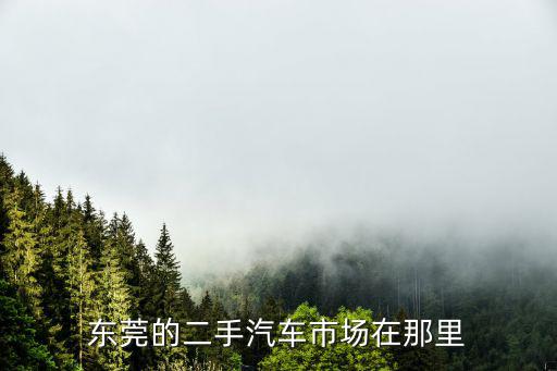 東莞的二手汽車市場在那里