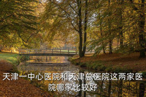 天津一中心醫(yī)院和天津總醫(yī)院這兩家醫(yī)院哪家比較好