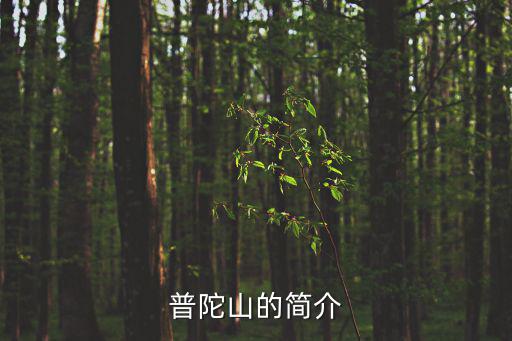 普陀山的簡介