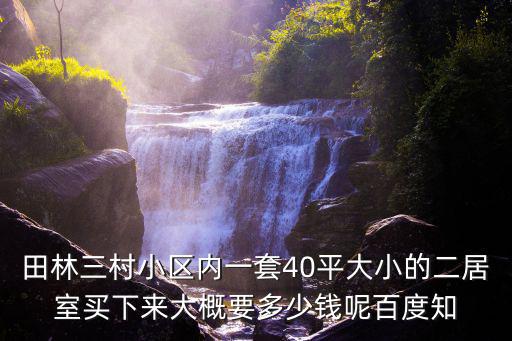 田林三村小區(qū)內(nèi)一套40平大小的二居室買下來大概要多少錢呢百度知