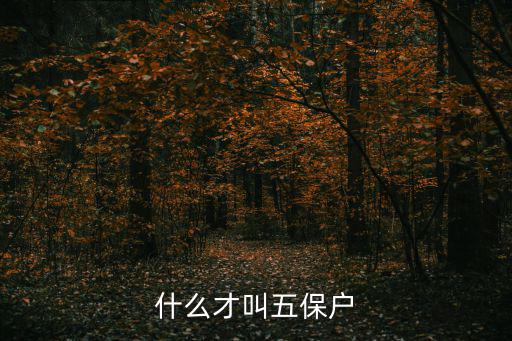 什么叫五保戶，五保戶是啥意思具體說說不要復制的謝謝