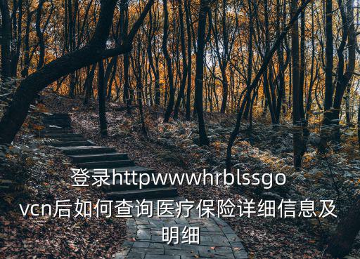 登錄httpwwwhrblssgovcn后如何查詢醫(yī)療保險(xiǎn)詳細(xì)信息及明細(xì)