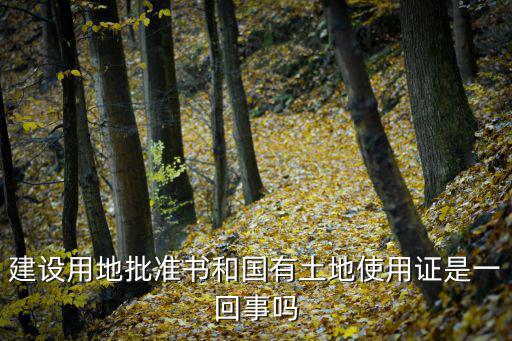 建設用地批準書，建設用地批準書和國有土地使用證是一回事嗎