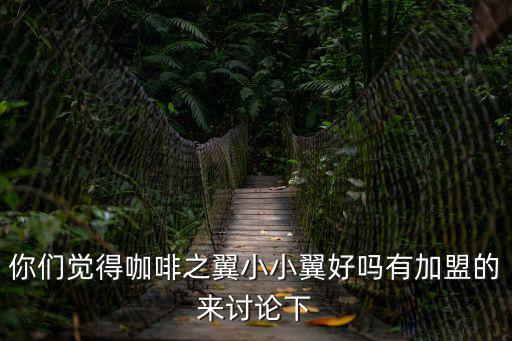 你們覺得咖啡之翼小小翼好嗎有加盟的來討論下