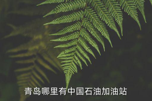 中國石油加油站，青島哪里有中國石油加油站