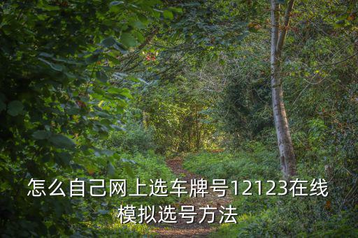 在線模擬選車牌號，互聯網選車牌號怎么選