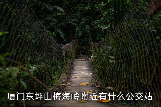 廈門東坪山梅海嶺附近有什么公交站