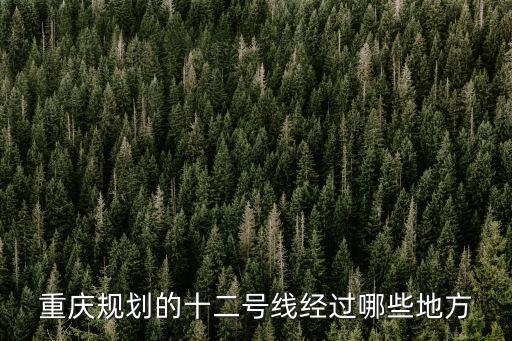 重慶12號線，重慶地鐵開通了一二號線怎么換乘