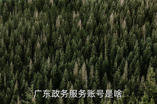 廣東政務服務賬號是啥