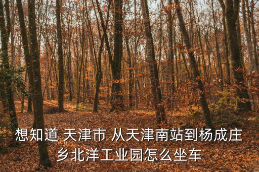 想知道 天津市 從天津南站到楊成莊鄉(xiāng)北洋工業(yè)園怎么坐車