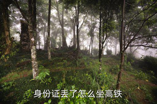 身份證丟了怎么坐高鐵