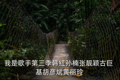 我是歌手第三季韓紅孫楠張靚穎古巨 基胡彥斌黃麗玲