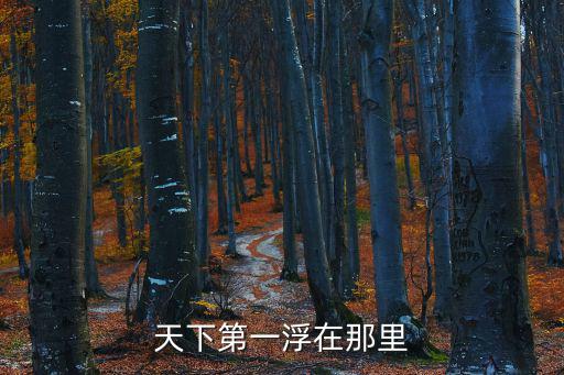 天下第一浮在那里