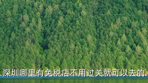 深圳哪里有免稅店不用過關就可以去的