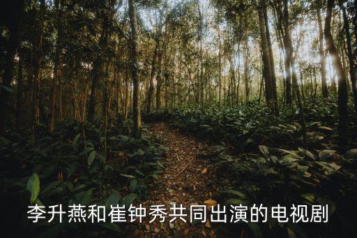 李升燕和崔鐘秀共同出演的電視劇