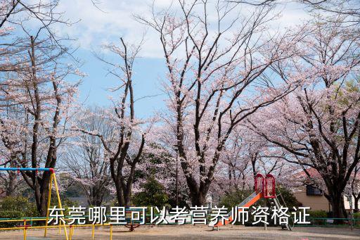 東莞營養師培訓，在東莞如何報考三級公共營養師