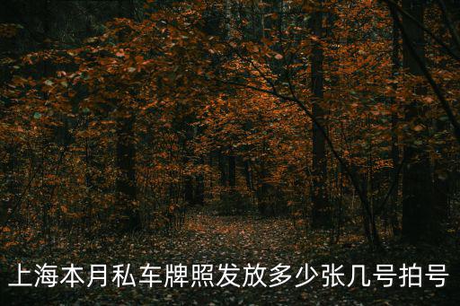 上海本月私車牌照發(fā)放多少張幾號拍號