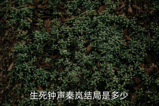 生死鐘聲秦嵐結局是多少