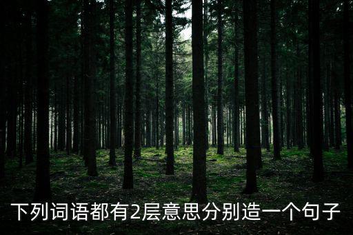 下列詞語都有2層意思分別造一個句子