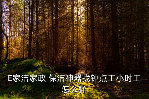 E家潔家政 保潔神器找鐘點(diǎn)工小時(shí)工怎么樣