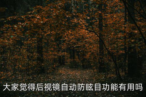 大家覺得后視鏡自動防眩目功能有用嗎