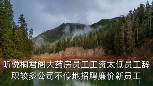 聽說桐君閣大藥房員工工資太低員工辭職較多公司不停地招聘廉價(jià)新員工