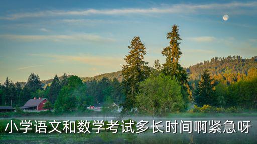 小學考試時間，小學語文和數學考試多長時間啊緊急呀
