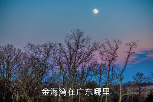 金海灣公園，金海灣在廣東哪里
