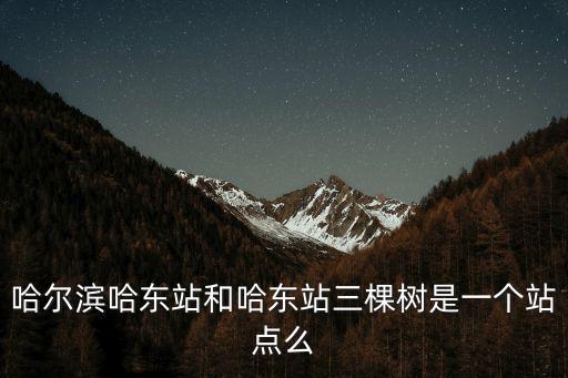 哈東站，哈東站到哈站坐地鐵怎么走