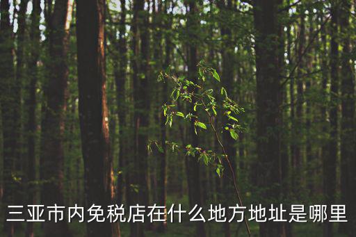 三亞免稅店在哪里，三亞市內免稅店在什么地方地址是哪里