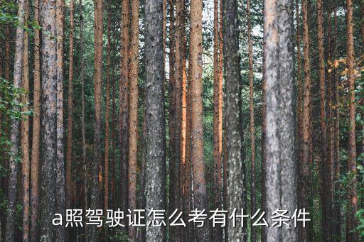 駕駛證a，a照駕駛證怎么考有什么條件