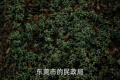 東莞市的民政局