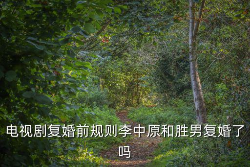 電視劇復婚前規則李中原和勝男復婚了嗎