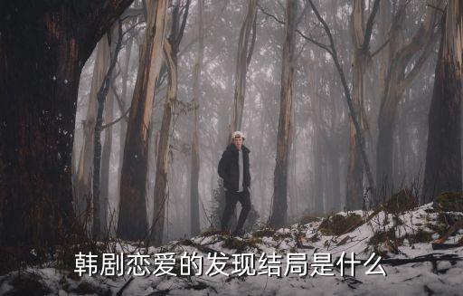 韓劇戀愛的發現結局是什么