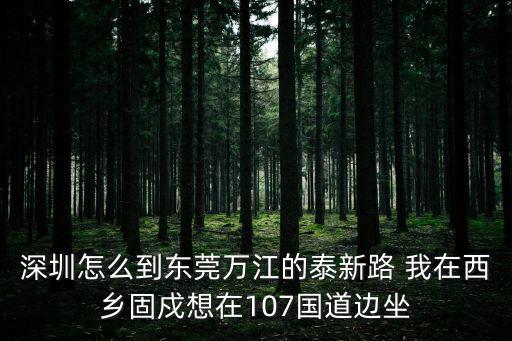 深圳怎么到東莞萬江的泰新路 我在西鄉固戍想在107國道邊坐