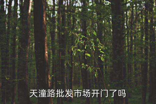 天潼路批發(fā)市場開門了嗎