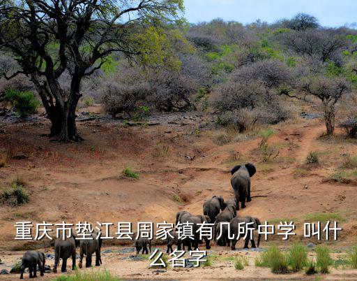 重慶市墊江縣周家鎮有幾所中學 叫什么名字
