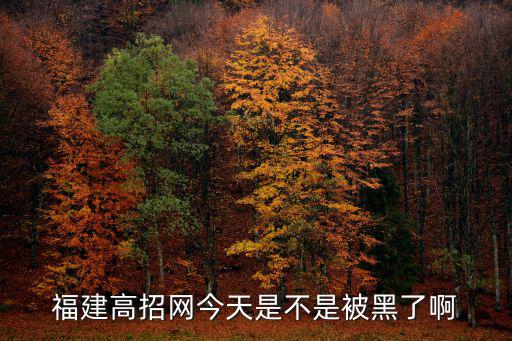 福建高招網(wǎng)今天是不是被黑了啊