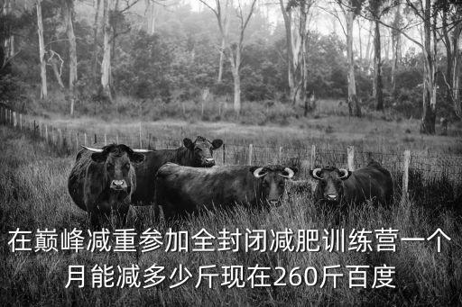 在巔峰減重參加全封閉減肥訓練營一個月能減多少斤現在260斤百度