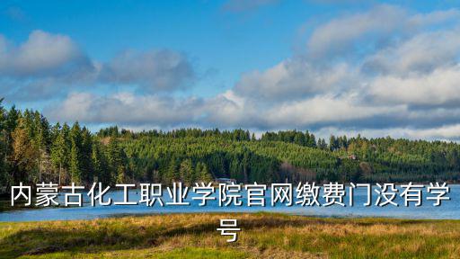 內蒙古化工職業學院官網繳費門沒有學號