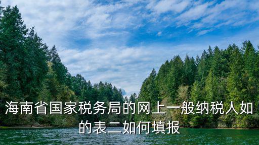 海南省國家稅務局的網上一般納稅人如的表二如何填報
